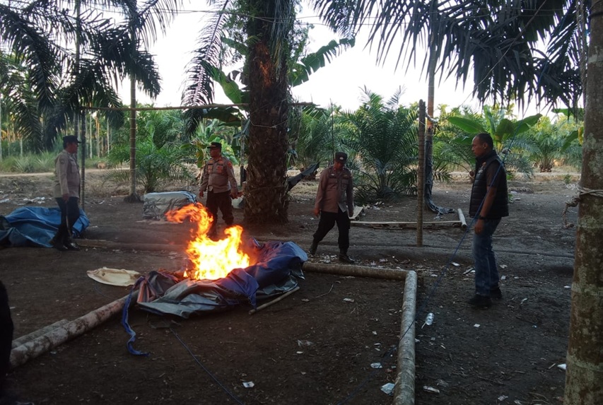 Langkah Tegas Kapolres Tanjab Timur! Arena Sabung Ayam di Muara Sabak Timur Dibongkar