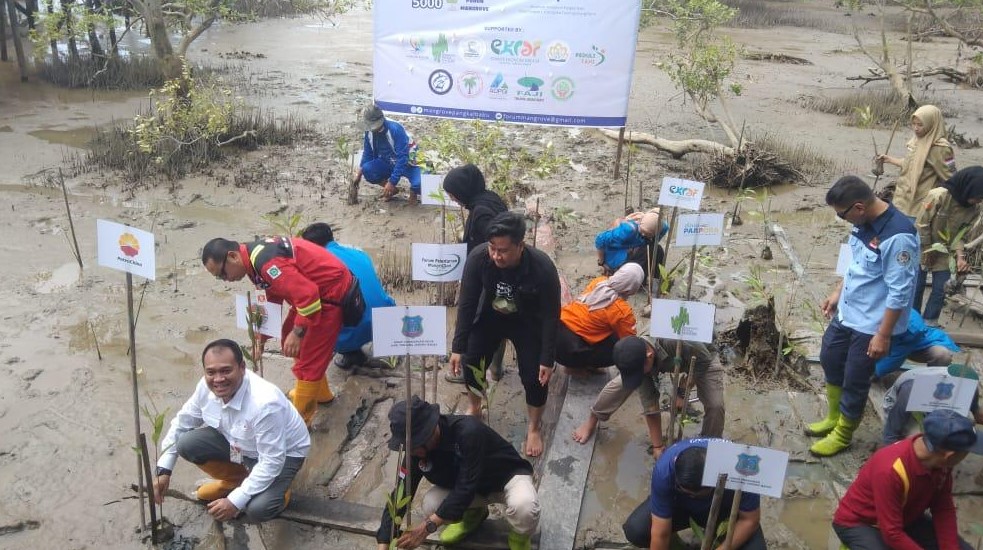 Peringati Hari Lingkungan Hidup Internasional 2024, SKK Migas-PetroChina Tanam 35.000 Bibit Mangrove di Tanjab