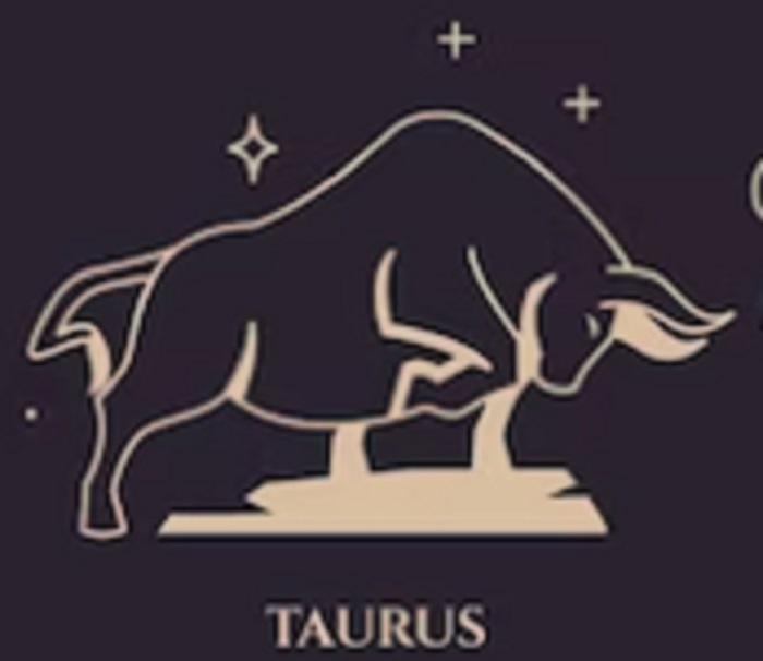 logo bintang taurus