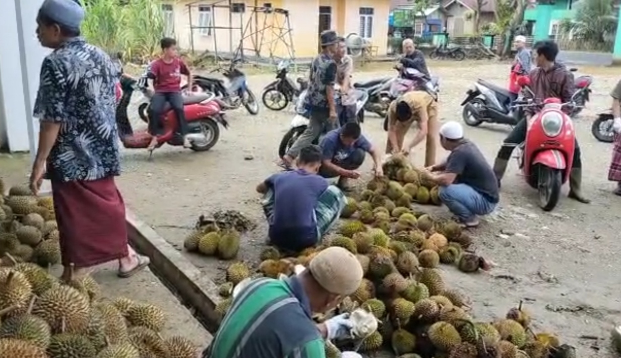 Salut, Warga Ini Jual Durian untuk Bantu Pembangunan Masjid