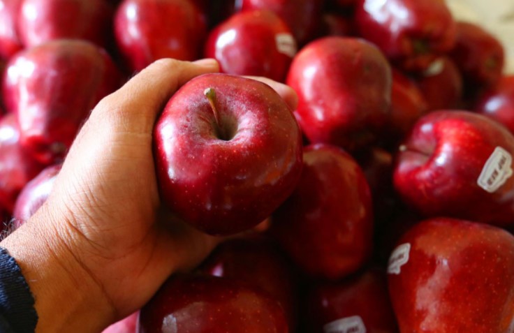 Untuk Wanita, Konsumsi Makanan Ini Organ Kewanitaan Bisa Wangi