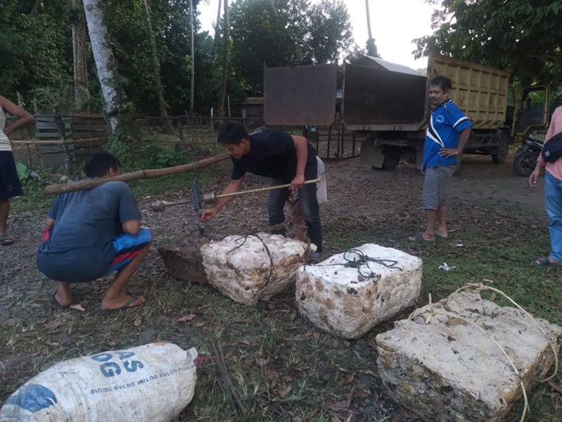 Petani Senyum, Harga Karet di Kabupaten Bungo Tembus Rp15.000 per Kilogram