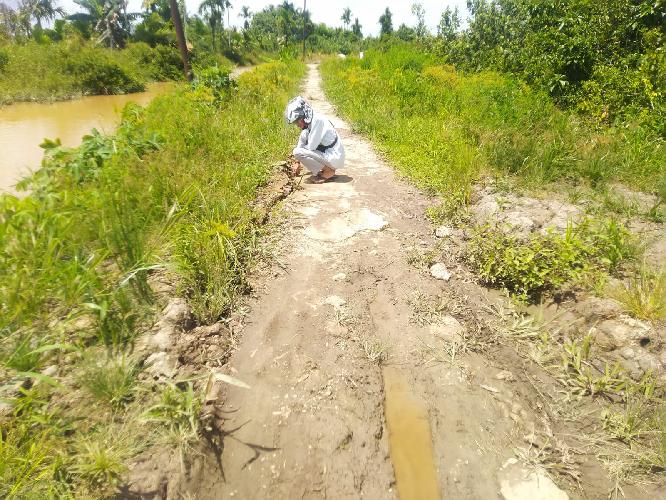 Sering Terdampak Pasang Surut Air Sungai, Jalan Menuju Kantor Desa Kuala Dendang, Tanjab Timur Rusak