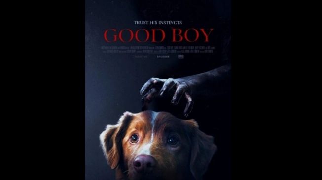Wow! Film Horor Good Boy Siap Guncang Bioskop Indonesia