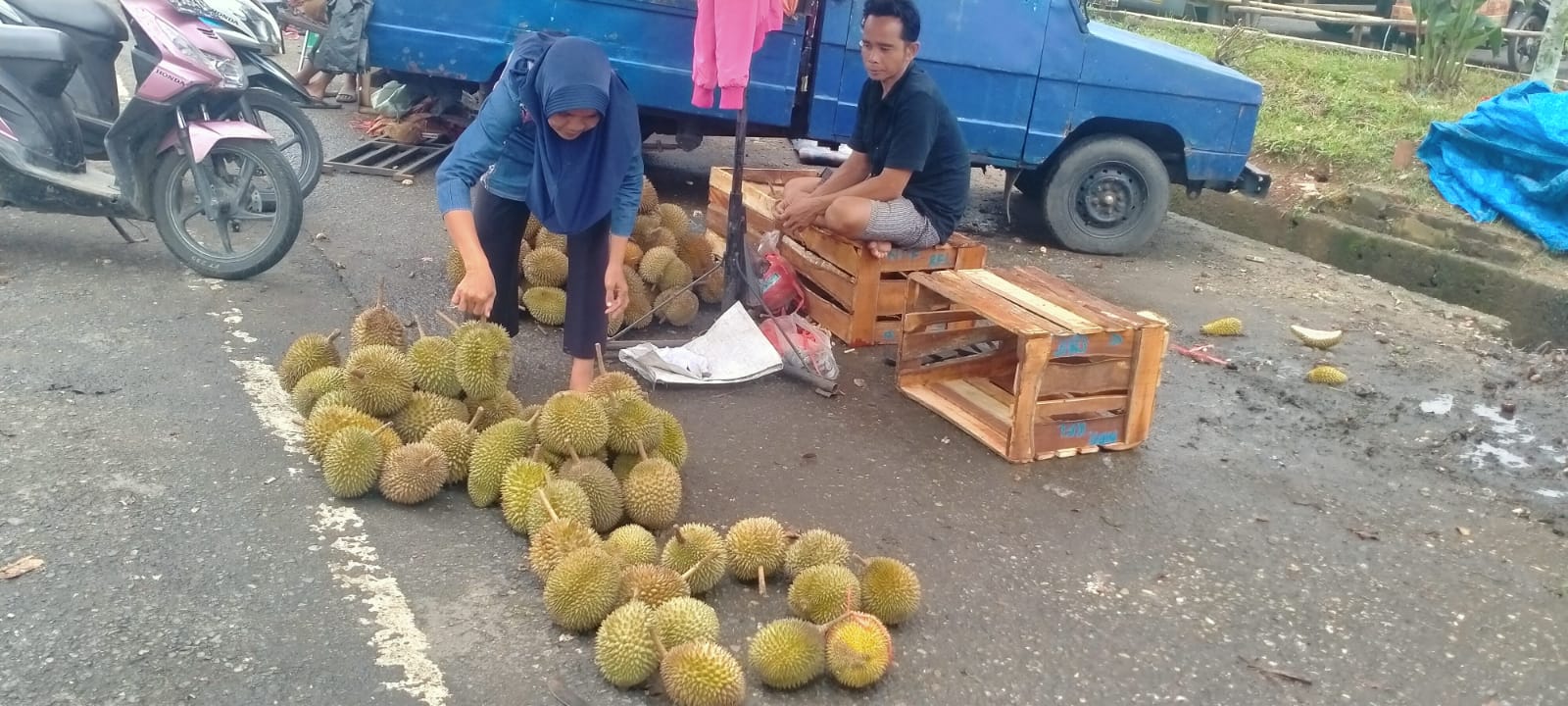 Nikmati Manisnya Aneka Durian Lokal Asal Bungo Saat Musim Durian, Ayo Intip Harganya