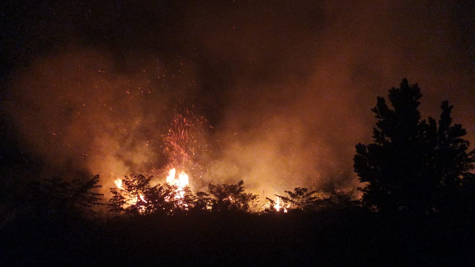 Kebakaran Lahan Terjadi Di Kabupaten Bungo 1 Hektar Lahan Kosong Ludes