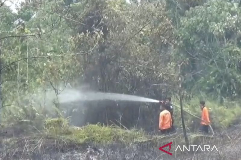 Lima Titik Dipadamkan, Karhutla di Muaro Jambi Meluas