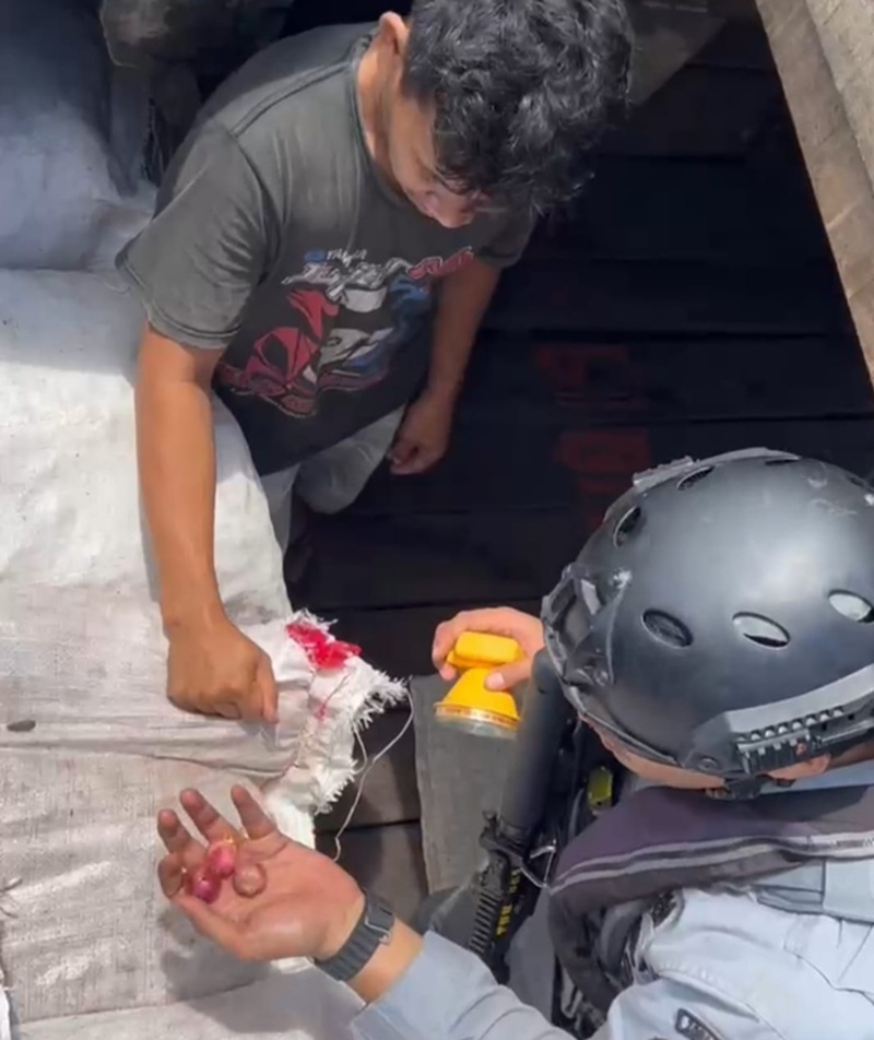 Terungkap! Kapal yang Ditangkap Bakamla Sudah 3 Kali Lakukan Penyelundupan Bawang Merah ke Kualatungkal