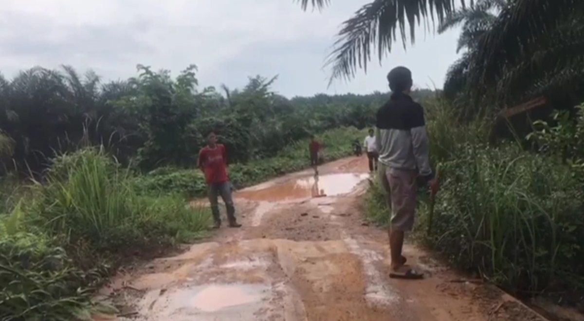 Gegara Lahan Sawit dari Presiden Jokowi, 2 Kelompok Massa di Sungai Gelam Nyaris Bentrok