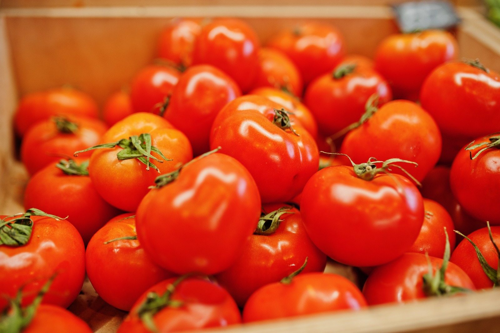 Sejumlah Manfaat Tomat untuk Kesehatan Tubuh Jika Dikonsumsi Setiap Hari 