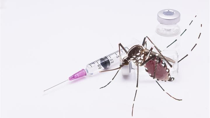 DKI Jakarta dan FKUI Gelar Vaksinasi DBD Qdenga, untuk Anak SD di Jakarta Selatan