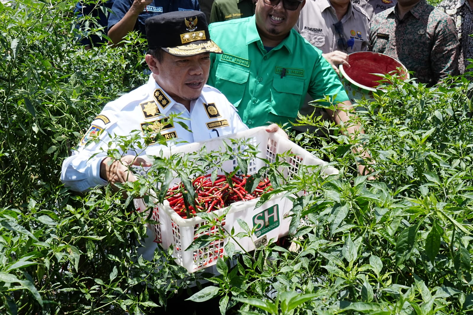 Bertemu dengan Petani di Desa Tidar Kuranji, Gubernur Jambi Al Haris Dukung Pengembangan Komoditas Cabai