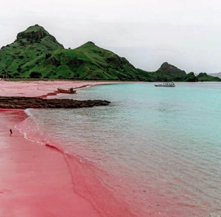 Pink Beach Pulau Komodo, Pantai Dengan Pasirnya yang Kemerahan dan Menakjubkan