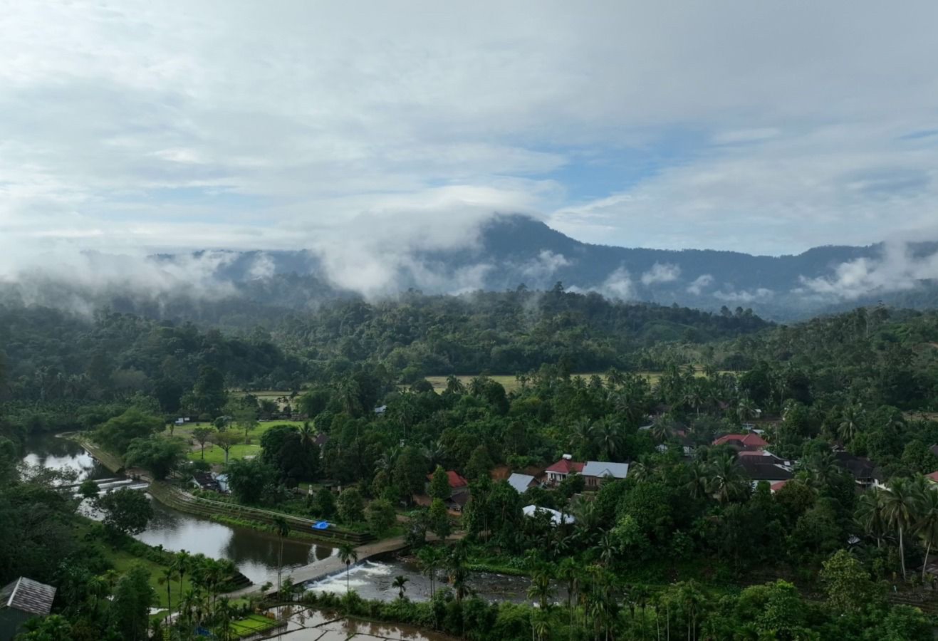 Bujang Raba Menuju Era Baru Perdagangan Karbon Berbasis Masyarakat