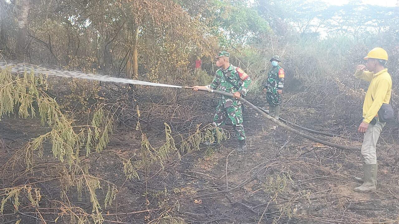 Karhutla di Kota Jambi, 10 Hektar Lahan di Sijenjang Hangus Terbakar