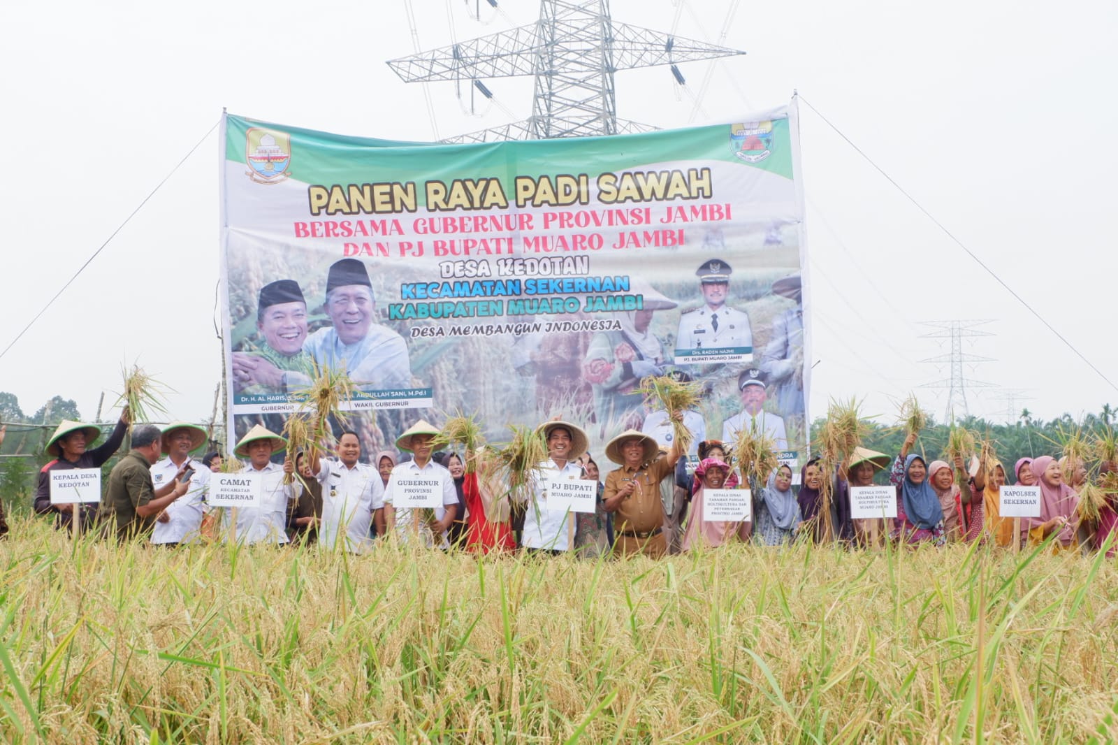 Penjabat Bupati Muaro Jambi Ikut Panen Padi Bersama Petani di Desa Kedotan