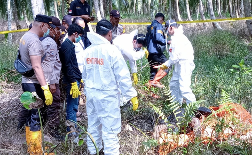 Sempat Minta Diantarkan Badik! Pria 75 Tahun Ditemukan Tewas di Kebun Kelapa Tanjab Timur, Uang Rp14 Juta Raib