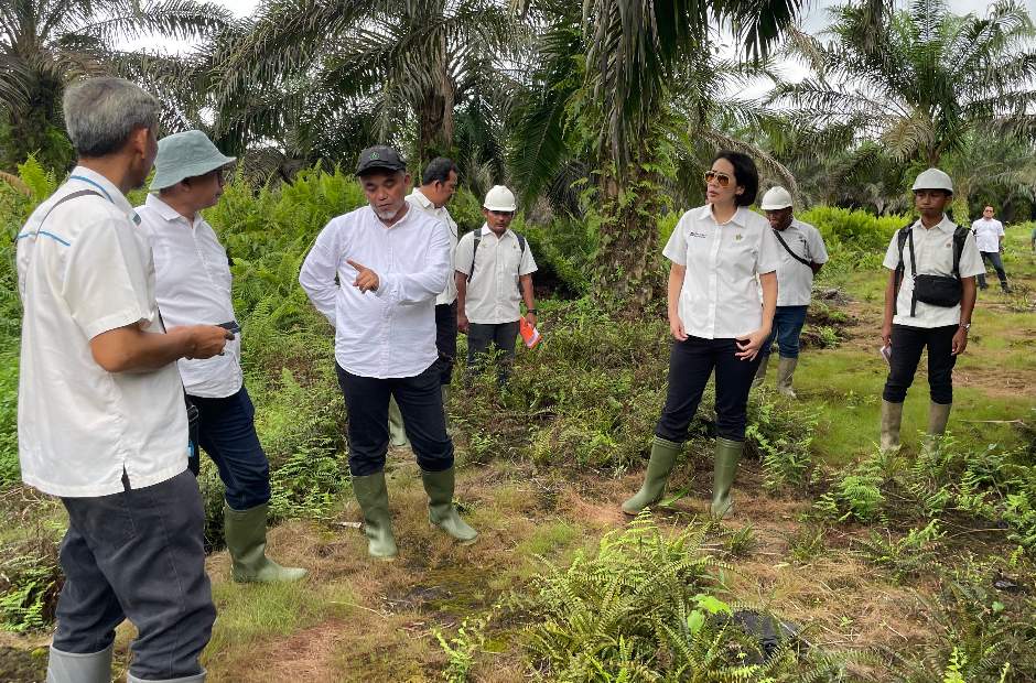 Direksi Palmco Pastikan Target Produksi PTPN Regional 4 Tercapai 