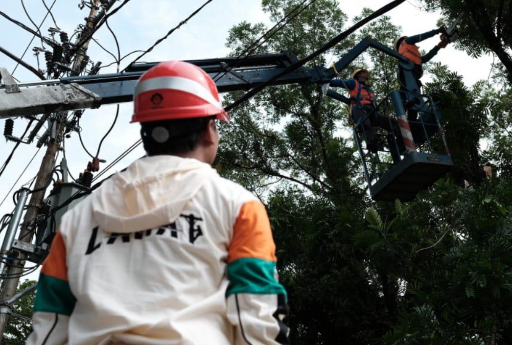 Kolaborasi Dengan Pemda, PLN Muara Enim Eksekusi Pohon Penyebab Gangguan