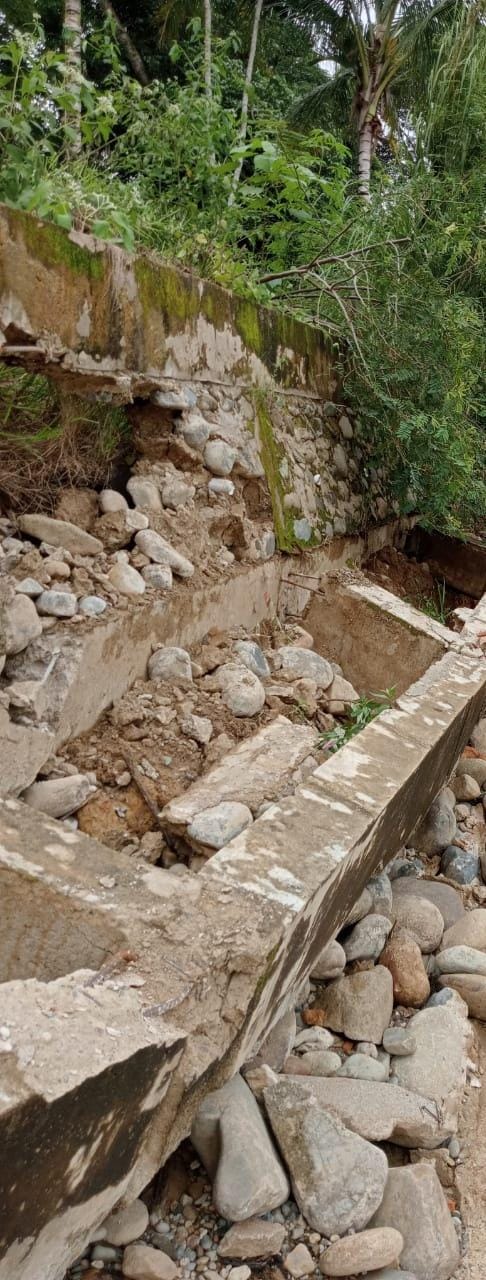 Baru 1 Tahun, Proyek Turap Senilai Rp3 M di Batu Kerbau dari BPBD Bungo Sudah Ambruk