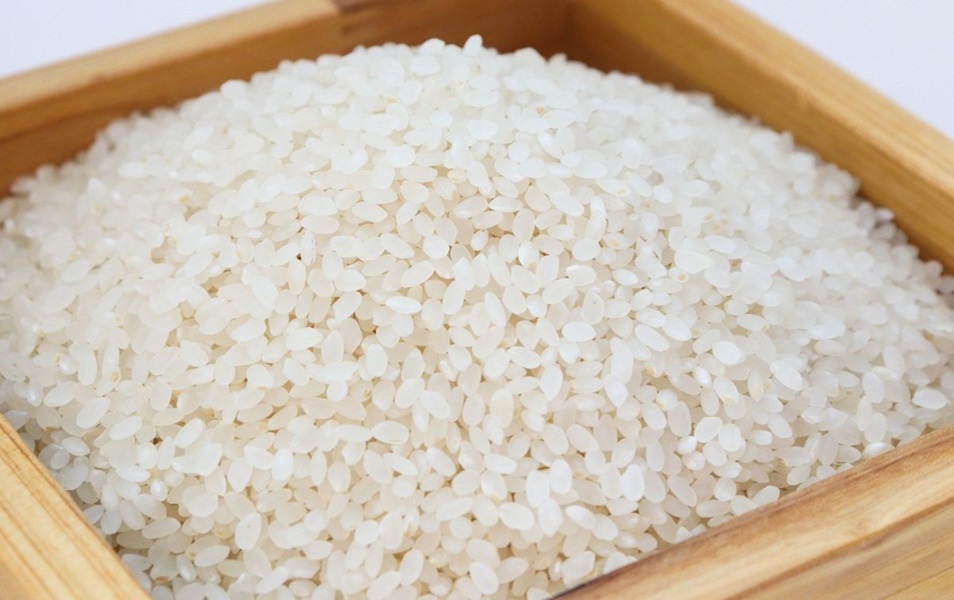 Simak Penjelasan Bulog Jambi Terkait Stok Beras Hingga Akhir Tahun