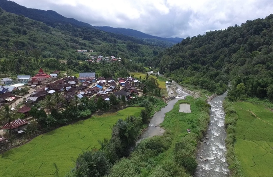 Hutan Adat Terjaga, Ekonomi Masyarakat Pun Tumbuh