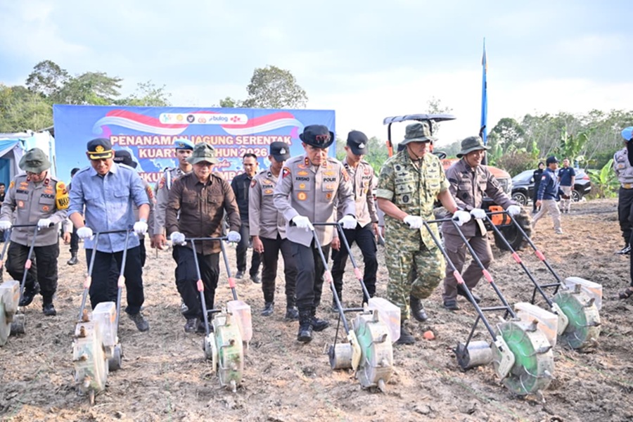 Tanam Jagung 1 Juta Hektare! Kapolri Pimpin Gerakan Nasional, Polda Jambi Turun Langsung ke Lahan