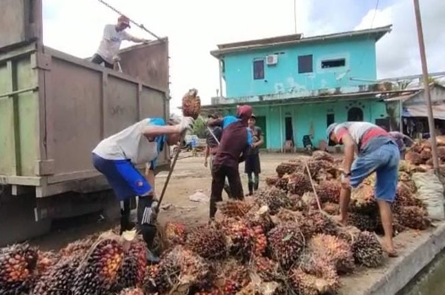 Tindak Lanjuti Instruksi Mendag, Besok Pemprov Jambi Rapat Penentuan Harga TBS Kelapa Sawit