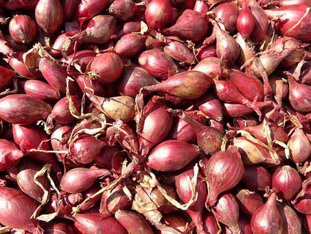 Wow! Jus Bawang Merah Campur Madu Ternyata Baik untuk Kesehatan Pria Lho, Simak Nih 4 Manfaatnya 