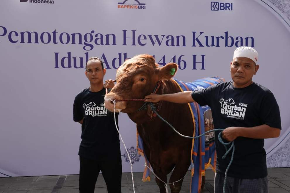 Semangat Berbagi Idul Adha 1446 H, Bapekis dan Karyawan BRI Salurkan 961 Hewan Kurban untuk Masyarakat