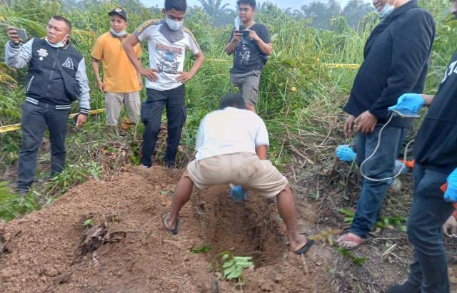 Geger! Warga Padang Kelapo Batanghari Temukan Mayat Perempuan Dikubur di Kebun Sawit