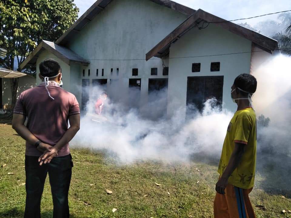 Kasus DBD di Kabupaten Tanjab Timur Meningkat 