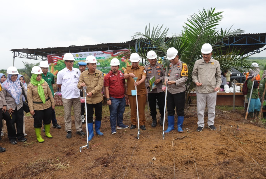 Sinar Mas Agribusiness and Food Dukung Pemerintah Tanam Jagung