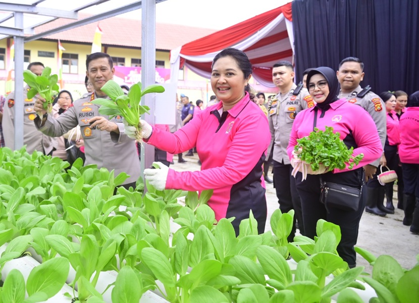 Polda Jambi dan Jajaran Panen Pekarangan Pangan Lestari, Dukung Program Ketahanan Pangan