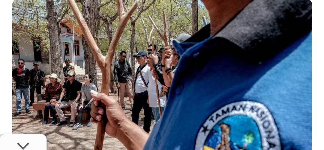 Waduh, Tiket Masuk Taman Nasional Komodo Naik Jadi Rp 3,750 Juta, Sandiaga Uno Beri Penjelasan