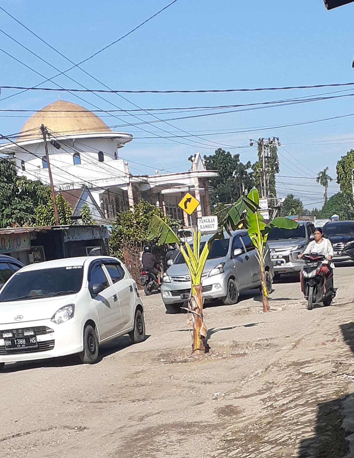 Viral Warga Buluran Kenali Tanam Pisang di Tengah Jalan, Camat Telanaipura: Mereka Mau Dilihat Pihak Provinsi