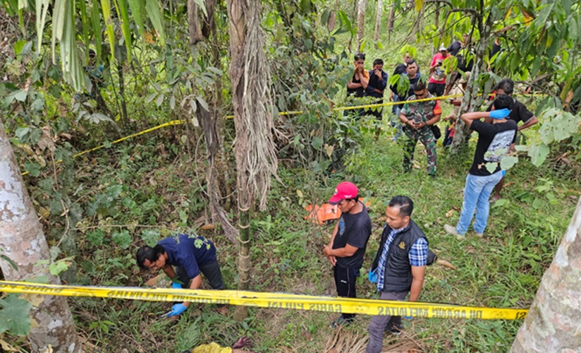 BREAKING NEWS: Warga Maro Sebapo Kabupaten Muaro Jambi Ditemukan Membusuk di Kebun Karet