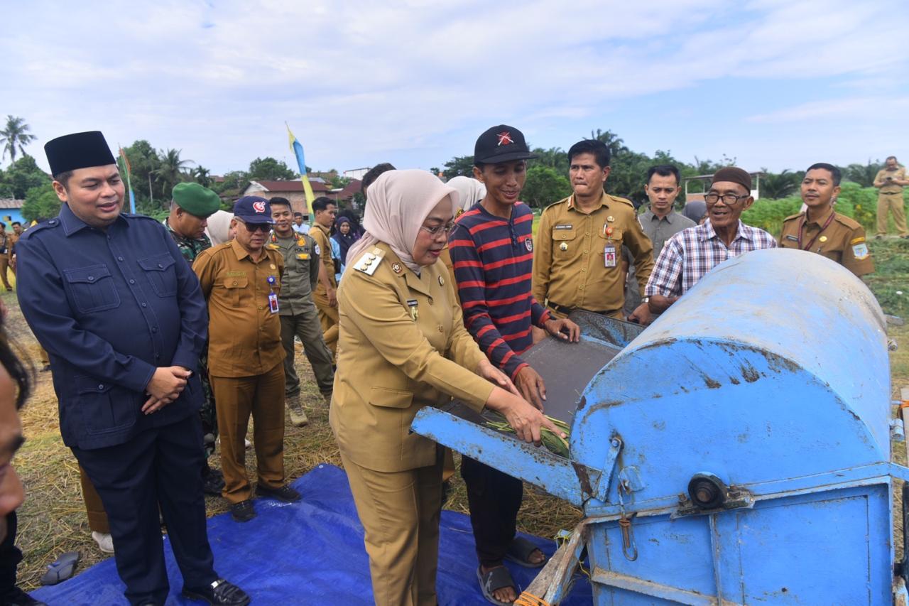 Pj Wali Kota Jambi Lakukan Panen Padi Bersama, Apresiasi Warga Manfaatkan Lahan