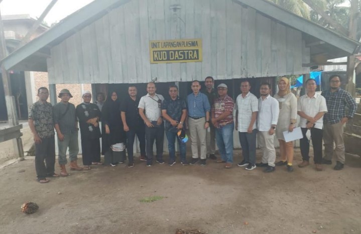 Lagi, PTPN VI Remajakan 226 Hektar Sawit Rakyat