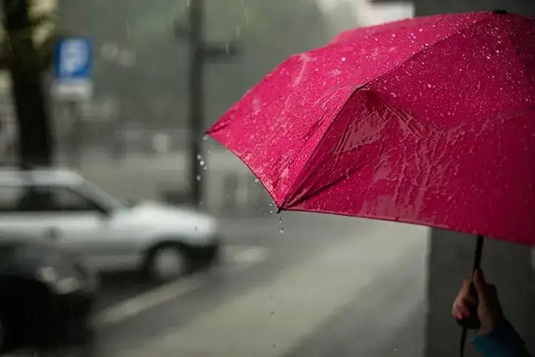 Prakiraan Cuaca Hari ini di Wilayah Provinsi jambi, 9 November 2025