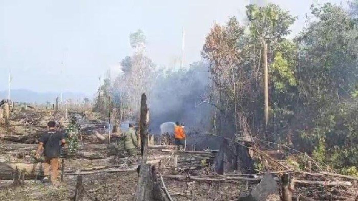 Waduh, Karhutla di Taman Nasional Bukit Tiga Puluh Meluas, Pemkab Tebo Bakal Dirikan Posko Penanganan Karhutla