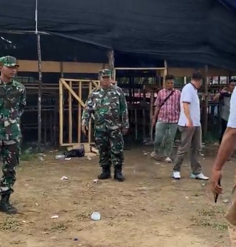 Viral di Medsos, Aparat Gerebek Sabung Ayam di Sijenjang Kota Jambi