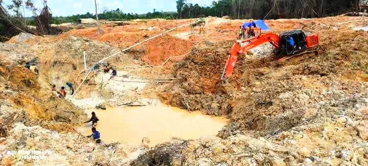 Main PETI, Adik Anggota DPRD Sarolangun Ditangkap Polda Papua