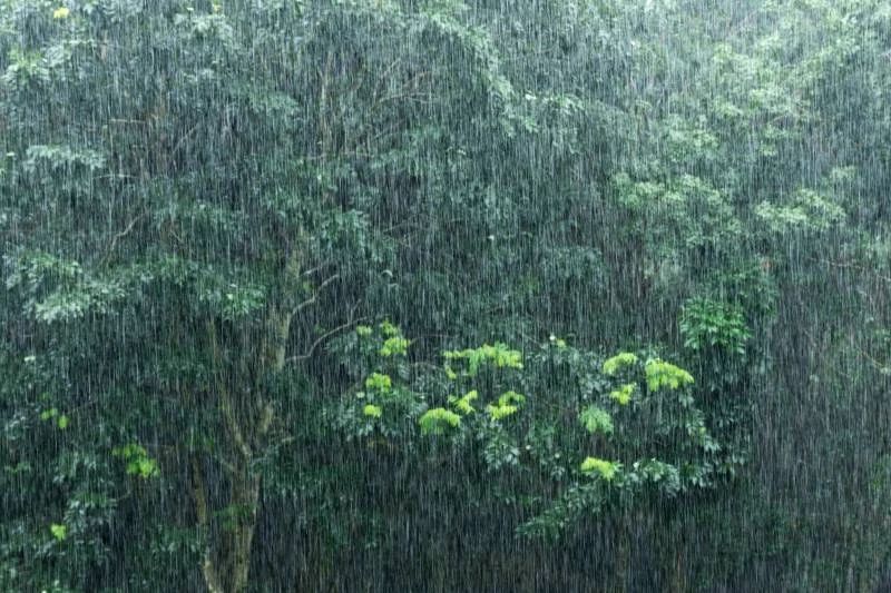 Prakiraan Cuaca Hari ini di Wilayah Kota Jambi, 20 November 2025