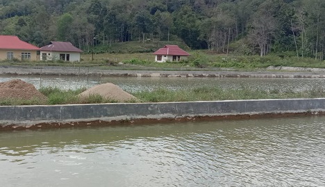 UPT PBAT Kerinci Kesulitan Pasarkan Benih Ikan