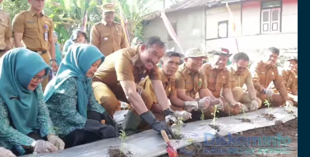 Pj Bupati Kerinci Hadiri Gerakan Tanam Cabai Serentak se-Indonesia