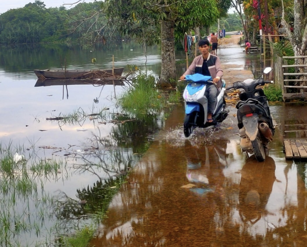 Ketinggian Air Sungai di Tanjab Timur Meningkat, Warga Khawatir Kemunculan Buaya Liar