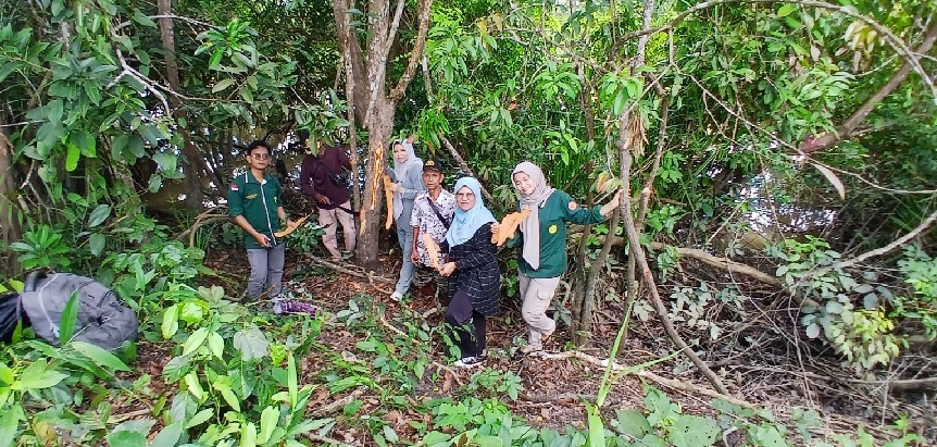 Peneliti UNJA dan BRIN Gali Rahasia Tumbuhan Obat SAD di Jambi