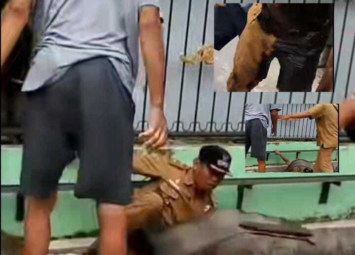 Cekcok dengan Warga, Lurah di Medan Didorong hingga Terjatuh ke Parit