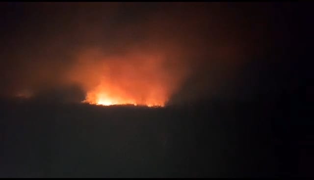 BREAKING NEWS: Belasan Anggota BPBD Padamkan Api di Talang Duku